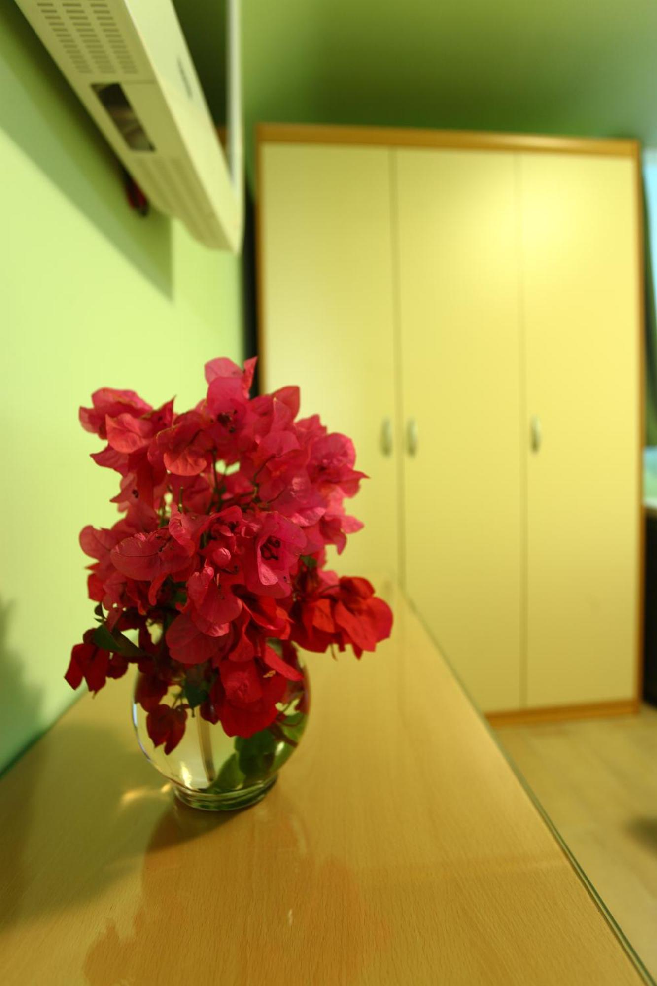Apartments Pile Marina ドゥブロブニク 部屋 写真
