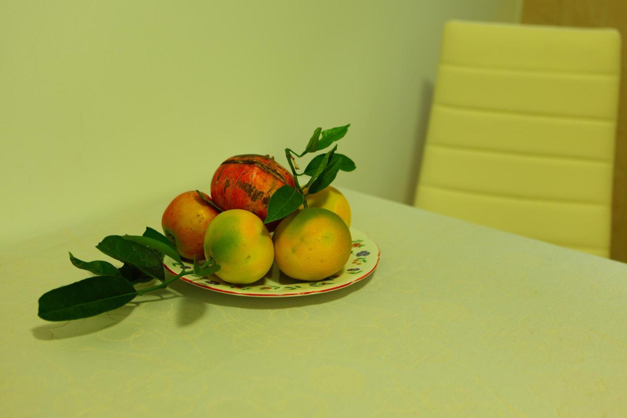 Apartments Pile Marina ドゥブロブニク 部屋 写真